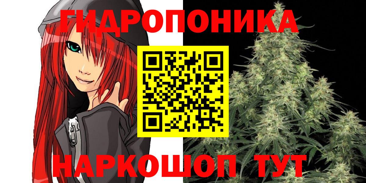 Бошки Шишки сатива  Конопля гибрид  Клинцы  Конопля сатива  Вход с VPN  МАРИХУАНА гибрид 